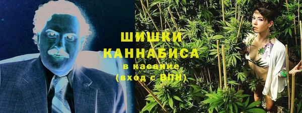 стаф Анива