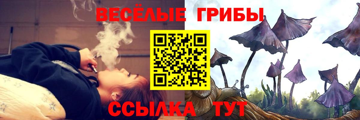 Псилоцибиновые грибы мухоморы  Галлюциногенные грибы GOLDEN TEACHER  Каменск-Уральский 