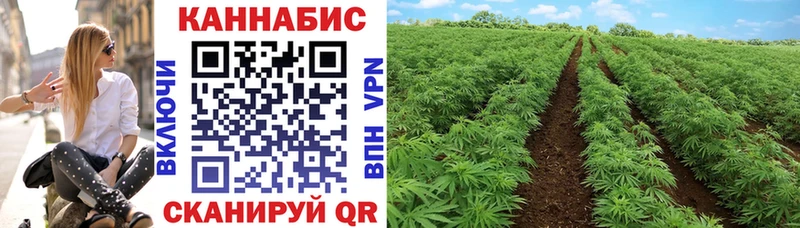 Марихуана Bruce Banner Каменск-Уральский